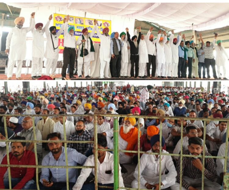 ਅਮਰਜੀਤ ਰਾਜੇਆਣਾ ਦੀ ਅਗਵਾਈ ਹੇਠ ਹੋਏ ਵਿਸ਼ਾਲ ਸੰਮੇਲਨ ਨੇ ਹਿਲਾਈਆਂ ਸਿਆਸੀ ਪਾਰਟੀਆਂ ਦੀਆਂ ਚੂਲਾਂ