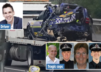 4 ਪੁਲਿਸ ਅਧਿਕਾਰੀਆਂ ਦੇ ਕਤਲ ਦੇ ਦੋਸ਼ ’ਚ ਆਸਟ੍ਰੇਲੀਆ ਦੀ ਅਦਾਲਤ ਨੇ  ਪੰਜਾਬੀ ਡਰਾਈਵਰ ਨੂੰ 22 ਸਾਲ ਦੀ ਕੈਦ ਦੀ ਸਜ਼ਾ ਸੁਣਾਈ ਹੈ