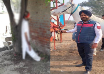 ਟਰੈਫਿਕ ਪੁਲਿਸ ਵਾਲੇ ਦਾ ਕਤਲ ਜਾ ਖੁਦਕੁਸ਼ੀ ਕਸਬਾ ਗੋਲੇਵਾਲ ਵਿੱਚ ਦਹਿਸ਼ਤ ਦਾ ਮਾਹੌਲ