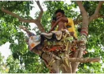 ਕੋਰੋਨਾ ਪੀੜਤ ਨੇ 11 ਦਿਨ ਦਰੱਖਤ ਤੇ ਬਿਤਾਏ