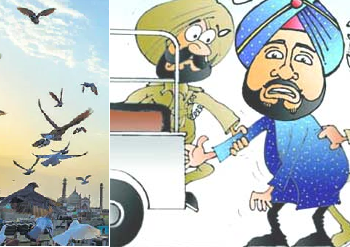 ਬਾਘਾਪੁਰਾਣਾ ਪੁਲਿਸ ਨੇ ਪਿੰਡ ਮਾਹਲਾ ਵਿਖੇ ਕਬੂਤਰਾਂ ਦੀ ਬਾਜ਼ੀ ਲਾਉਂਦੇ ਮੌਕੇ ਤੇ ਜਾ ਦਬੋਚੇ, 22 ਨੌਜਵਾਨਾਂ ਤੇ ਮਾਮਲਾ ਦਰਜ