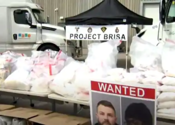 ਟਰਾਂਟੋ ਪੁਲਿਸ ਨੇ ਦਸ ਕੁਇੰਟਲ ਨਸ਼ੇ ਦੀ ਖੇਪ ਫੜੀ ,ਵੱਡੀ ਗਿਣਤੀ ਵਿੱਚ ਪੰਜਾਬੀ ਗ੍ਰਿਫਤਾਰ, ਦੇਖੋ ਵੀਡੀਓ