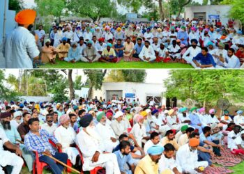 ਪਿੰਡ ਸੁਖਾਨੰਦ ਤੋਂ ਮਿਲਿਆ ਅਮ੍ਰਿਤਪਾਲ ਸਿੱਧੂ ਦੇ ਪ੍ਰਚਾਰ ਨੂੰ ਵੱਡਾ ਬਲ, ਸਮੁੱਚਾ ਪਿੰਡ ਉਤਰਿਆ ਹਿਮਾਇਤ ਵਿਚ