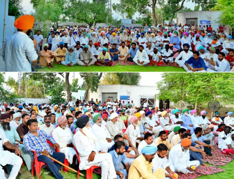 ਪਿੰਡ ਸੁਖਾਨੰਦ ਤੋਂ ਮਿਲਿਆ ਅਮ੍ਰਿਤਪਾਲ ਸਿੱਧੂ ਦੇ ਪ੍ਰਚਾਰ ਨੂੰ ਵੱਡਾ ਬਲ, ਸਮੁੱਚਾ ਪਿੰਡ ਉਤਰਿਆ ਹਿਮਾਇਤ ਵਿਚ