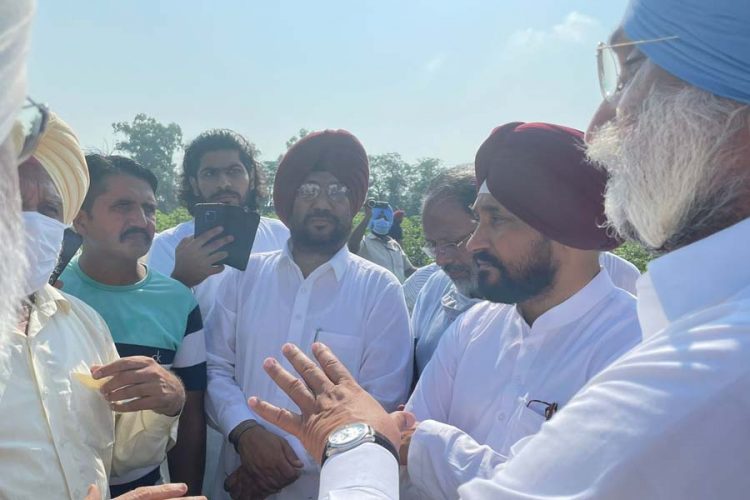 ਮੁੱਖ ਮੰਤਰੀ ਚੰਨੀ ਅੱਜ ਵੜੇ ਖੇਤਾਂ ਵਿੱਚ ਕਿਸਾਨਾਂ ਨਾਲ ਵੀ ਕੀਤੀ ਗੱਲ,ਨਰਮੇ ਦੀ ਫਸਲ ਦਾ ਲਿਆ ਜਾਇਜ਼ਾ