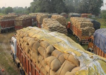 ਪੰਜਾਬ ਵਿੱਚ ਬਾਹਰੋਂ ਝੋਨਾ ਲਿਆ ਕੇ ਵੇਚਣ ਵਾਲਿਆਂ ਤੇ ਕੀਤੇ ਪਰਚੇ, 8 ਲੋਕ ਕਾਬੂ ਅਤੇ 7 ਵਾਹਨ ਜ਼ਬਤ