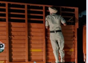 ਅੰਮ੍ਰਿਤਸਰ ਵਿੱਚ RDX ਦੀ ਵੱਡੀ ਖੇਪ ਬਰਾਮਦ, ਪੰਜਾਬ ਵਿਚ ਹਾਈ ਅਲਰਟ ਜਾਰੀ