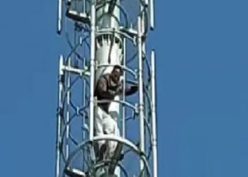 ਆਜ਼ਾਦ ਉਮੀਦਵਾਰ ਦੇ ਕਾਗਜ਼ ਰੱਦ ਹੋਣ ਤੋਂ ਬਾਅਦ , ਉਮੀਦਵਾਰ ਚੜ੍ਹਿਆ ਟਾਵਰ ਤੇ 