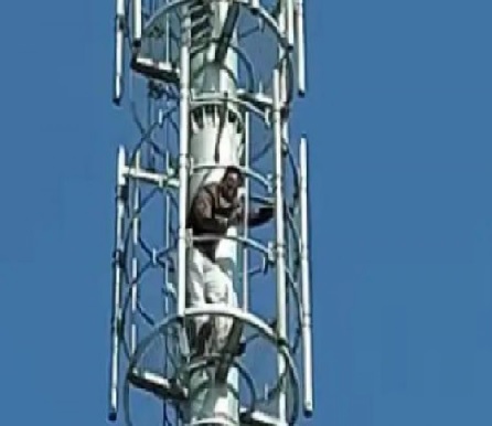 ਆਜ਼ਾਦ ਉਮੀਦਵਾਰ ਦੇ ਕਾਗਜ਼ ਰੱਦ ਹੋਣ ਤੋਂ ਬਾਅਦ , ਉਮੀਦਵਾਰ ਚੜ੍ਹਿਆ ਟਾਵਰ ਤੇ