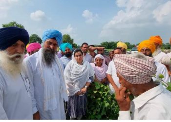 ਆਪ ਸਰਕਾਰ ਨੇ ਪਿਛਲੀਆਂ ਸਰਕਾਰਾਂ ਵਾਂਗ ਫ਼ਰਜ਼ੀ ਇਸਤਿਹਾਰਬਾਜ਼ੀ ਕਰਨ ਦੀ ਬਜਾਏ 1 ਅਰਬ 1 ਕਰੋੜ ਰੁਪਏ ਦੀ ਗੁਲਾਬੀ ਸੁੰਡੀ ਪੀੜਤ ਕਿਸਾਨਾਂ ਨੂੰ ਗ੍ਰਾੰਟ ਕੀਤੀ ਜਾਰੀ : ਕੁਲਤਾਰ ਸੰਧਵਾਂ