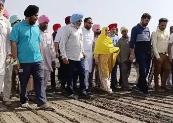 20 ਮਈ ਤੋਂ ਪਹਿਲਾਂ ਹੀ ਭਗਵੰਤ ਮਾਨ ਦੀ ਮਾਤਾ ਨੇ ਆਪਣੇ ਪਿੰਡ ਵਿੱਚ ਸ਼ੁਰੂ ਕਾਰਵਾਈ ਝੋਨੇ ਦੀ ਸਿਧੀ ਬਿਜਾਈ