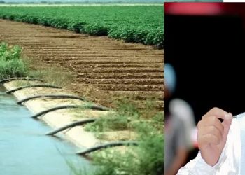 ਮਾਨ ਸਰਕਾਰ ਨੇ ਸਿੰਚਾਈ ਵਿਭਾਗ ਵਿੱਚ ਹੋਏ ਘਪਲੇ ਦੀਆਂ ਖੋਲੀਆਂ ਫਾਇਲਾਂ,1 ਮੰਤਰੀ ਅਤੇ ਅਕਾਲੀ ਲੀਡਰ ਉੱਪਰ ਹੋ ਸਕਦੀ ਹੈ ਵੱਡੀ ਕਾਰਵਾਈ 