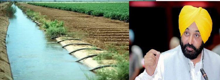ਮਾਨ ਸਰਕਾਰ ਨੇ ਸਿੰਚਾਈ ਵਿਭਾਗ ਵਿੱਚ ਹੋਏ ਘਪਲੇ ਦੀਆਂ ਖੋਲੀਆਂ ਫਾਇਲਾਂ,1 ਮੰਤਰੀ ਅਤੇ ਅਕਾਲੀ ਲੀਡਰ ਉੱਪਰ ਹੋ ਸਕਦੀ ਹੈ ਵੱਡੀ ਕਾਰਵਾਈ 