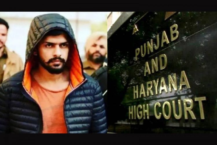 ਹਾਈਕੋਰਟ ਨੇ ਗੈਂਗਸਟਰ ਲਾਰੈਂਸ ਬਿਸ਼ਨੋਈ ਨੂੰ ਦਿੱਤਾ ਝਟਕਾ, ਆਪਣੇ ਆਪ ਨੂੰ ਬਚਾਉਂਣ ਲਈ ਪਾਈ ਸੀ ਪਟੀਸ਼ਨ ਕੋਰਟ ਨੇ ਕੀਤੀ ਖਾਰਜ