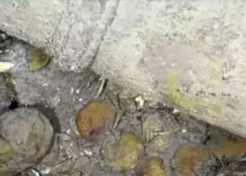 200 ਸਾਲ ਪਹਿਲਾਂ ਡੁੱਬੇ ਦੋ ਸੁਮੰਦਰੀ ਜਹਾਜ਼ਾਂ ਵਿੱਚੋਂ ਮਿਲਿਆ ਅਰਬਾਂ ਡਾਲਰ ਦਾ ਸੋਨਾ￼