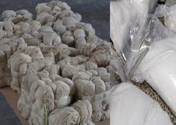 ਗੁਜਰਾਤ ਫੜੀ ਗਈ 75 ਕਿਲੋ ਹੈਰੋਇਨ ਦੇ ਤਾਰ ਲੁਧਿਆਣਾ ਨਾਲ ਜੁੜੇ, ਪੁਲਿਸ ਨੇ ਇੱਕ ਵਿਅਕਤੀ ਨੂੰ ਕੀਤਾ ਗ੍ਰਿਫਤਾਰ 