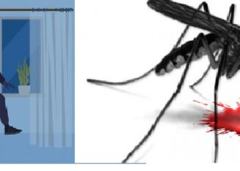 ਚੋਰ ਨੂੰ ਫੜਾਉਣ ਵਿੱਚ ਮੱਛਰ ਨੇ ਕੀਤੀ ਪੁਲਿਸ ਦੀ ਮਦਦ,ਚੋਰ ਨੇ ਜੁਰਮ ਕੀਤਾ ਕਬੂਲ