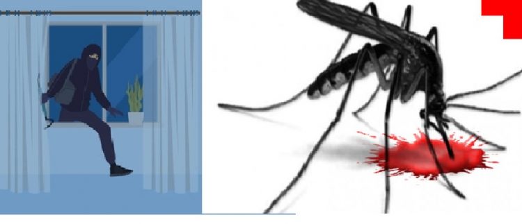 ਚੋਰ ਨੂੰ ਫੜਾਉਣ ਵਿੱਚ ਮੱਛਰ ਨੇ ਕੀਤੀ ਪੁਲਿਸ ਦੀ ਮਦਦ,ਚੋਰ ਨੇ ਜੁਰਮ ਕੀਤਾ ਕਬੂਲ