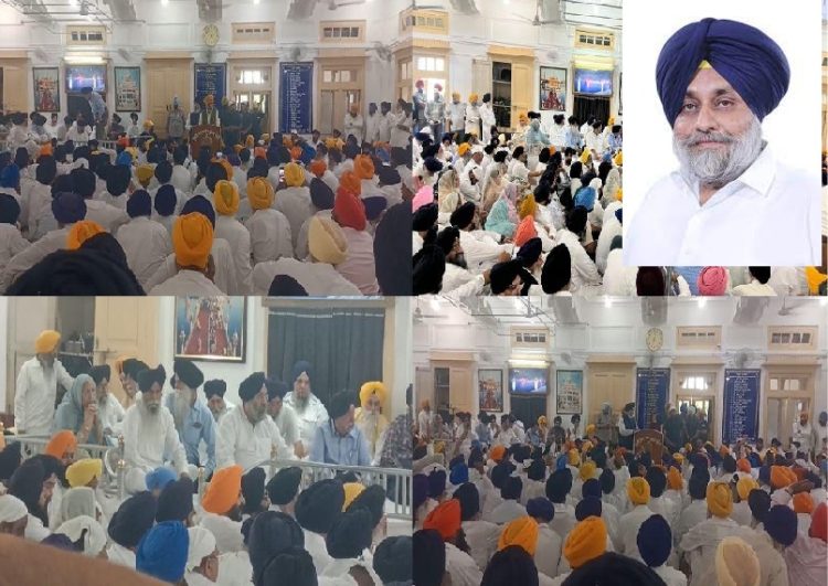 ਸ਼੍ਰੋਮਣੀ ਅਕਾਲੀ ਦਲ ਵੱਲੋਂ ਆਪਣੇ ਨਵੇਂ ਪ੍ਰਧਾਨ ਦਾ ਕੀਤਾ ਐਲਾਨ 