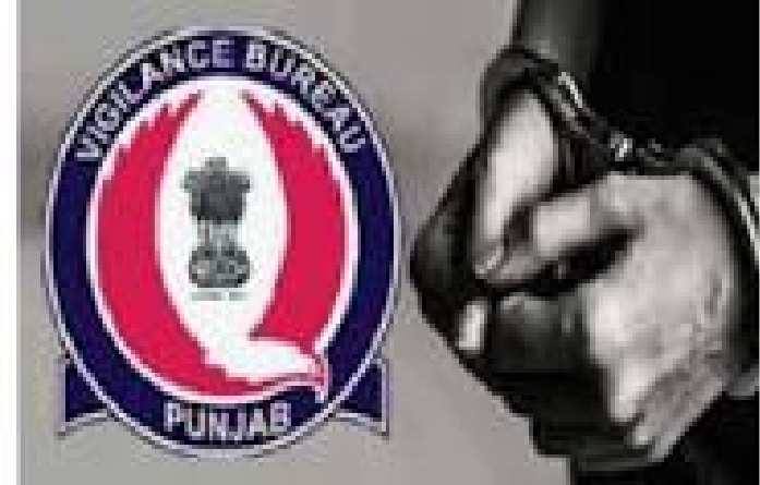 ਵਿਜੀਲੈਂਸ ਵਿਭਾਗ ਨੇ ਜਾਅਲੀ ਡਿਗਰੀ ਤੇ ਨੌਕਰੀ ਲੈਣ ਵਾਲਾ ਕੀਤਾ ਗ੍ਰਿਫਤਾਰ