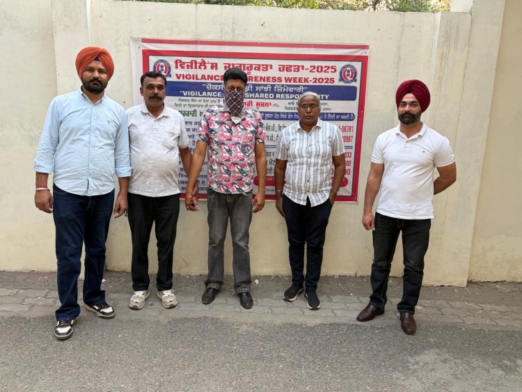 ਵਿਜੀਲੈਂਸ ਵਿਭਾਗ ਵੱਲੋਂ 15,000 ਰੁਪਏ ਰਿਸ਼ਵਤ ਲੈਂਦਾ ਪਟਵਾਰੀ ਰੰਗੇ ਹੱਥੀਂ ਕਾਬੂ