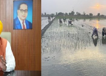 ਪੰਜਾਬ ਵਿੱਚ ਝੋਨਾ ਲਗਾਉਣ ਲਈ ਸਰਕਾਰ ਨੇ ਤਰੀਕਾਂ ਦਾ ਕੀਤਾ ਐਲਾਨ 