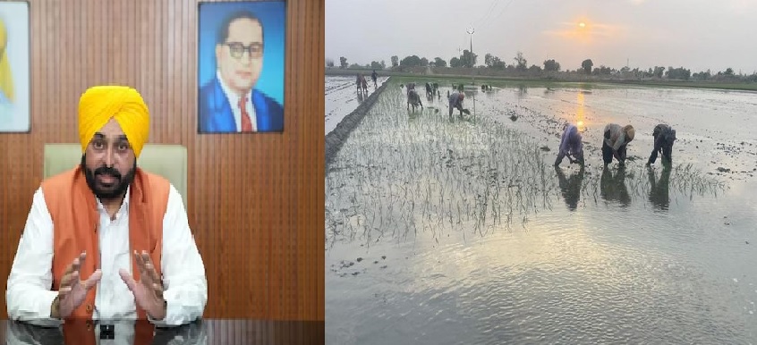 ਪੰਜਾਬ ਵਿੱਚ ਝੋਨਾ ਲਗਾਉਣ ਲਈ ਸਰਕਾਰ ਨੇ ਤਰੀਕਾਂ ਦਾ ਕੀਤਾ ਐਲਾਨ 