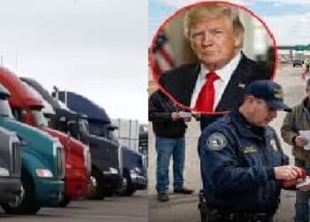 ਅਮਰੀਕਾ ਨੇ ਵੱਡੀ ਗਿਣਤੀ ਵਿੱਚ ਪੰਜਾਬੀ ਟਰੱਕ ਡਰਾਈਵਰਾਂ ਦੇ ਲਾਇਸੈਂਸ ਕੀਤੇ ਰੱਦ 